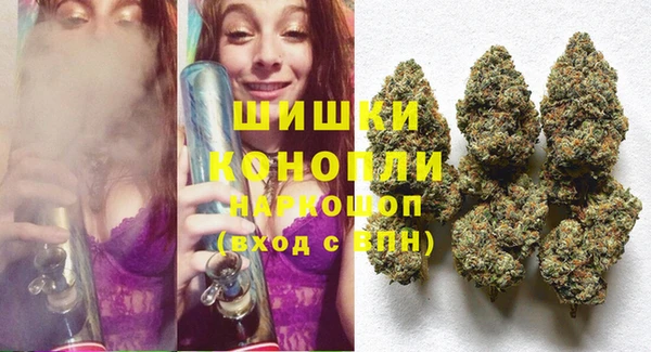 индика Новозыбков