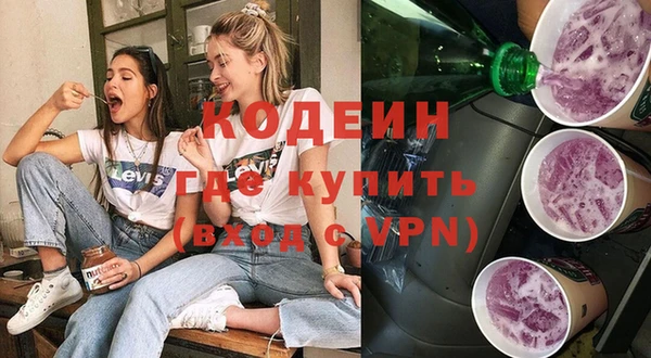 индика Новозыбков