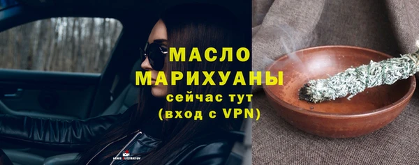 индика Новозыбков