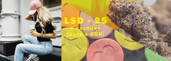 индика Новозыбков