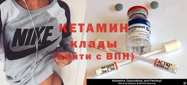 индика Новозыбков