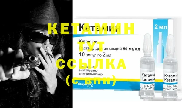 индика Новозыбков