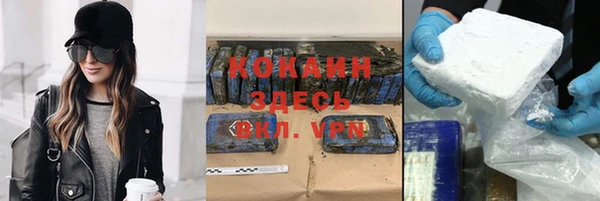 индика Новозыбков