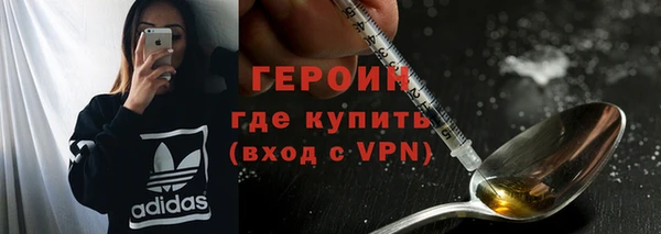 индика Новозыбков