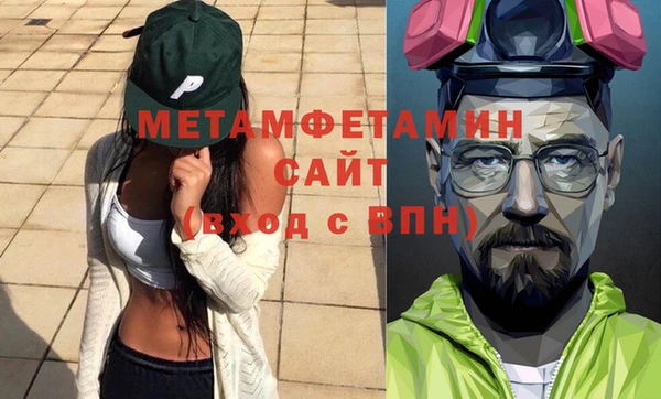 индика Новозыбков