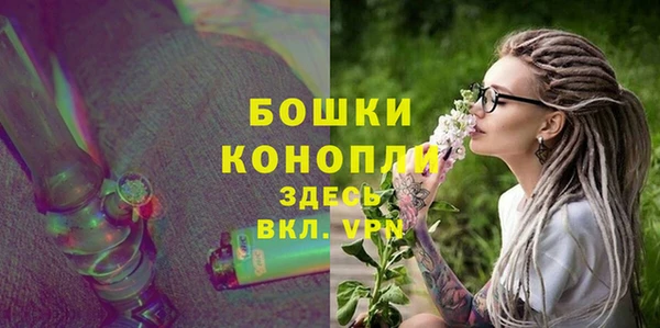 индика Новозыбков