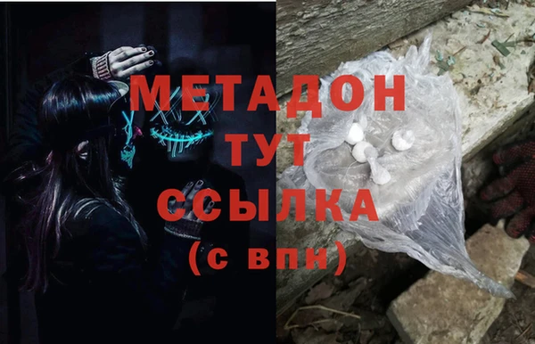 индика Новозыбков