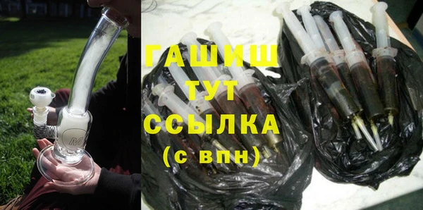 индика Новозыбков