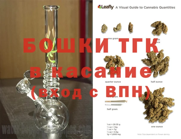 индика Новозыбков