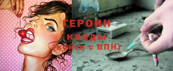 индика Новозыбков