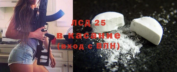 индика Новозыбков