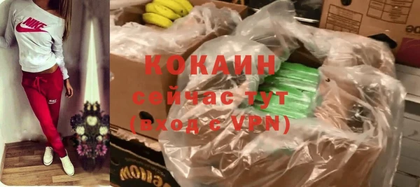 индика Новозыбков