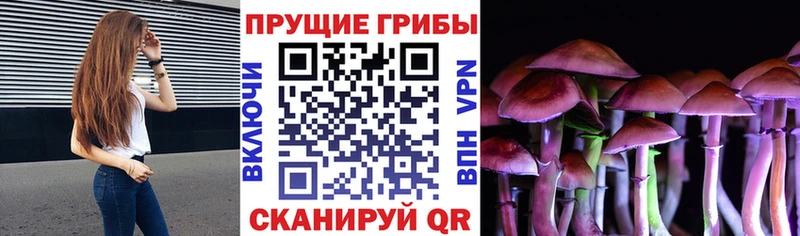 darknet состав  Анапа  Псилоцибиновые грибы MAGIC MUSHROOMS 