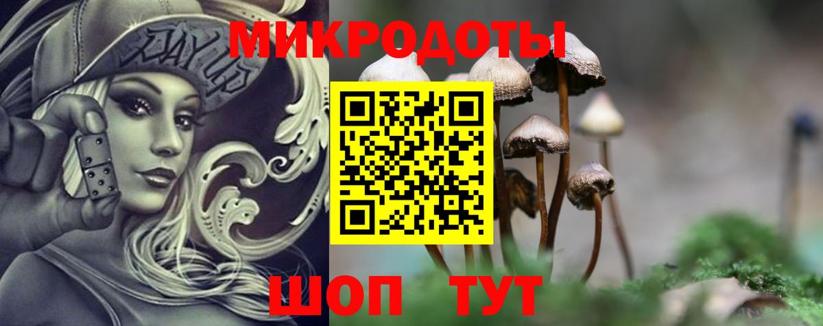Псилоцибиновые грибы Magic Shrooms Анапа